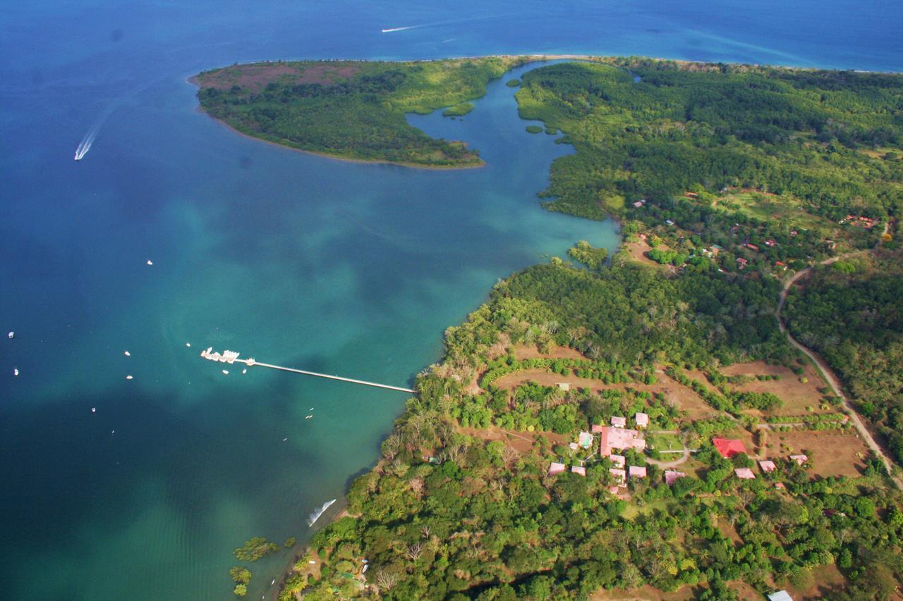 Crocodile Bay Resort Puerto Jiménez Extérieur photo